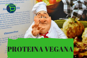 proteina-vegetal