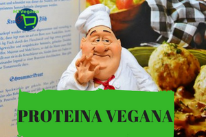 proteina-vegetal