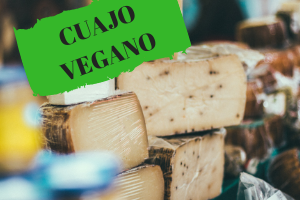cuajo-vegetariano
