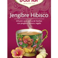 jengigrehibisco-yogitea