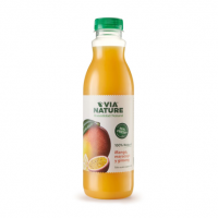 zumo-5-frutas-ginseng-guarana