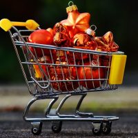 mas-grande-cesta-vegana